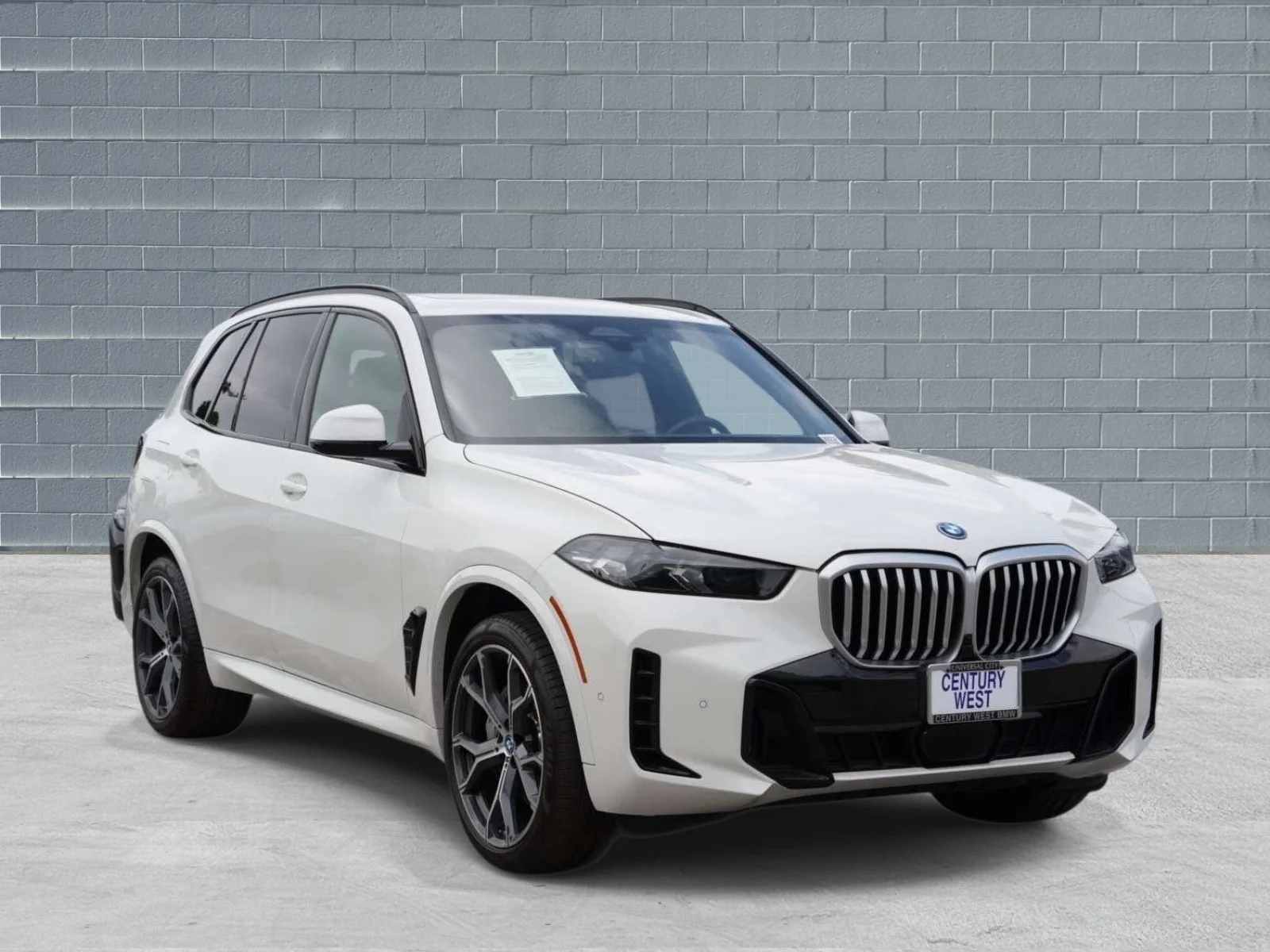 2024 BMW X5 xDrive50e's photo