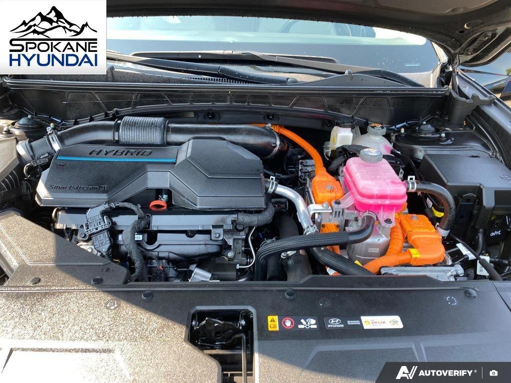 Certified Used 2024 Black Pearl Hyundai Limited image 14