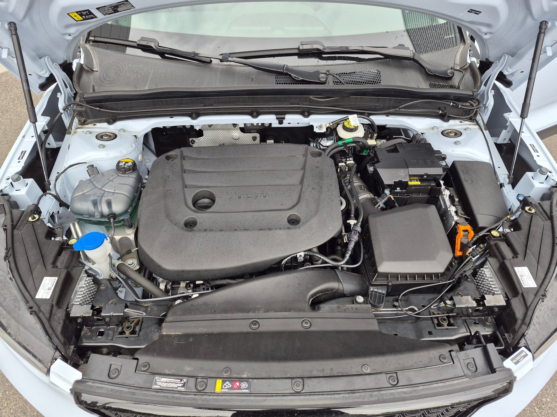 Certified Used 2026 Cloud Blue Volvo Plus image 31