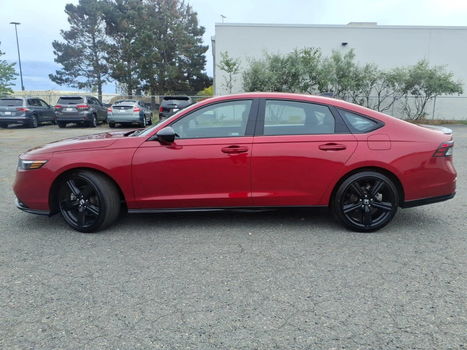 2024 Honda Accord Hybrid Sport-L - Photo 8