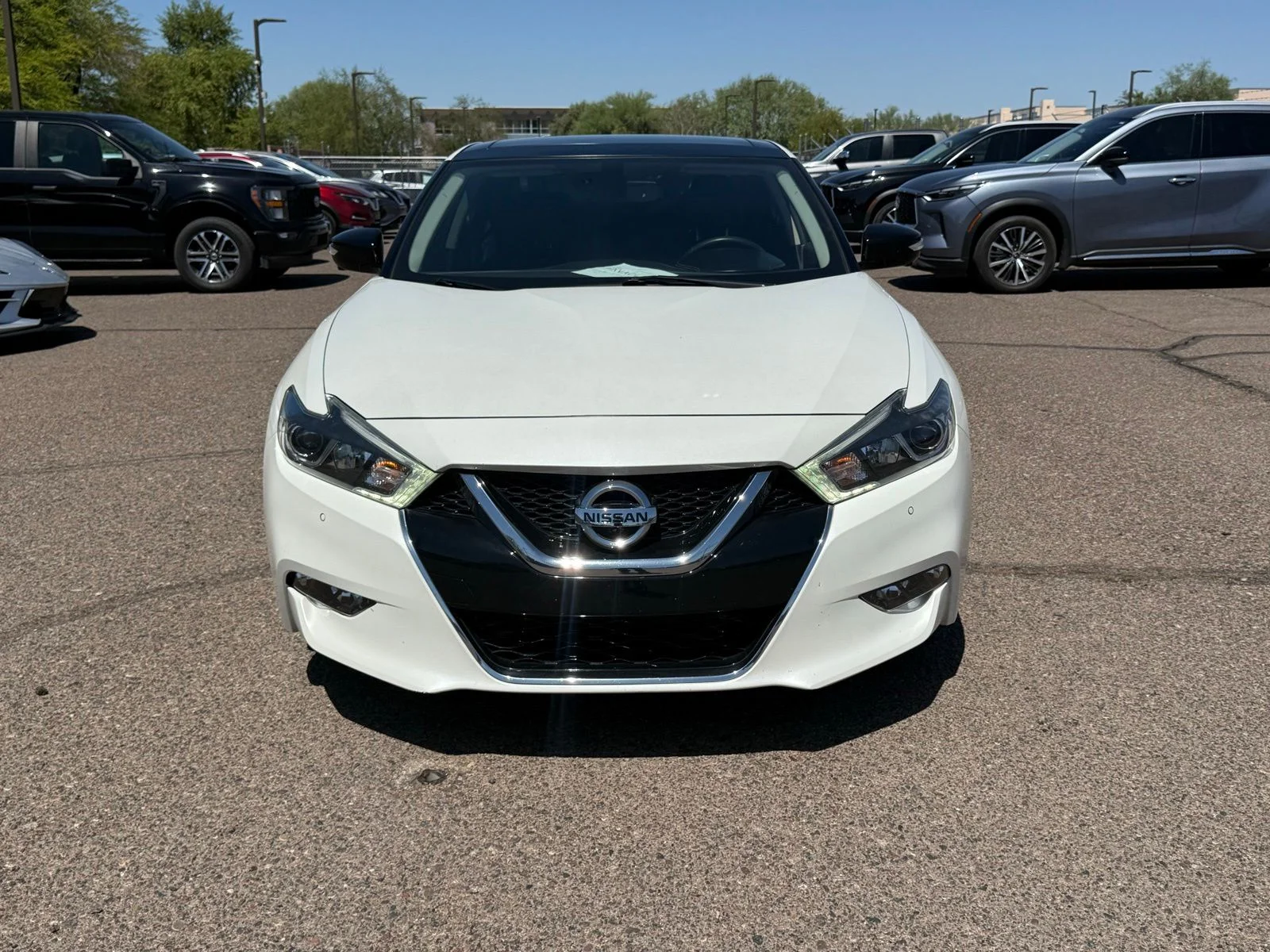 2018 Nissan Maxima Platinum's photo