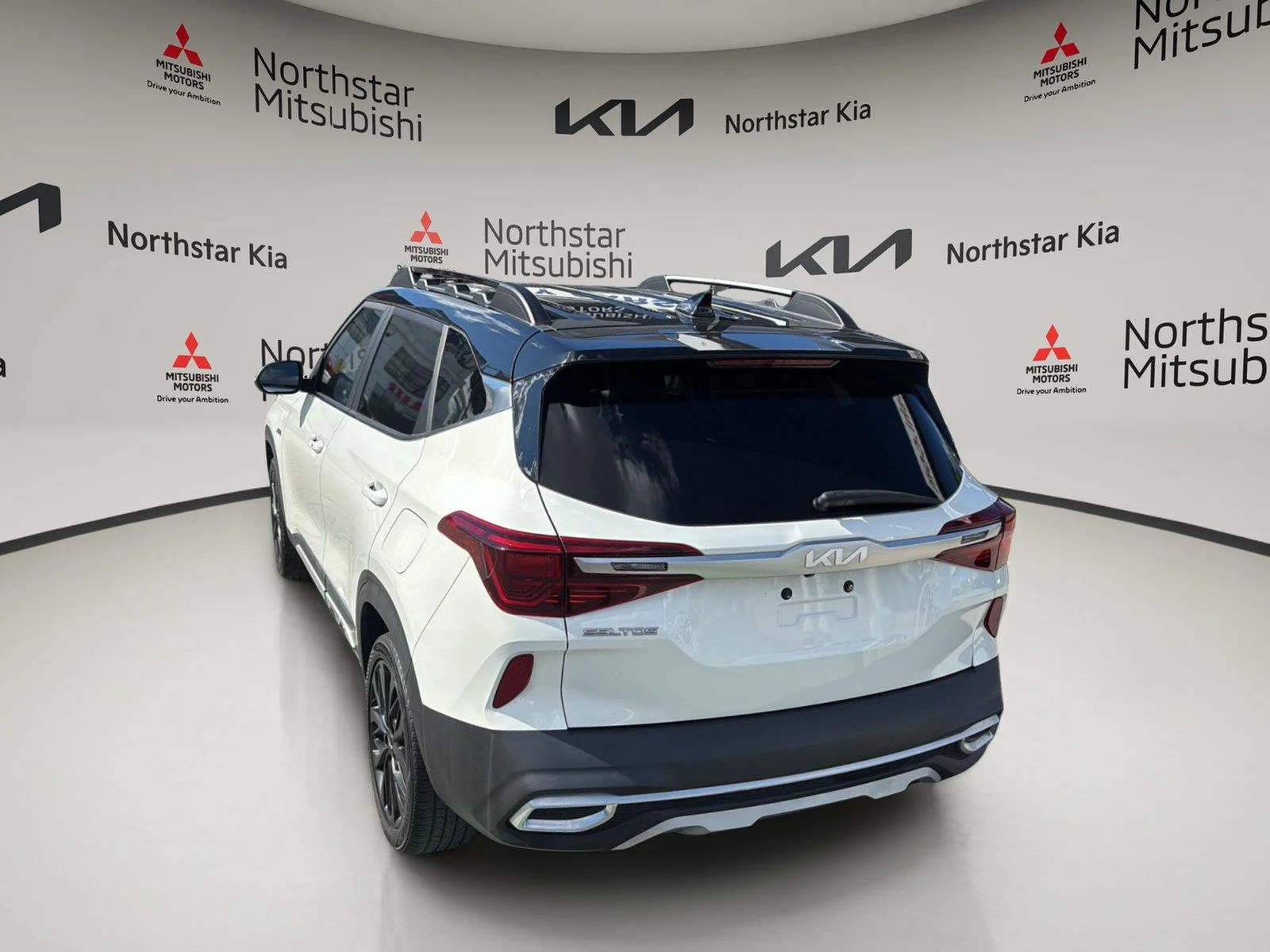 Used 2022 Clear White/Black Roof Kia Nightfall image 6