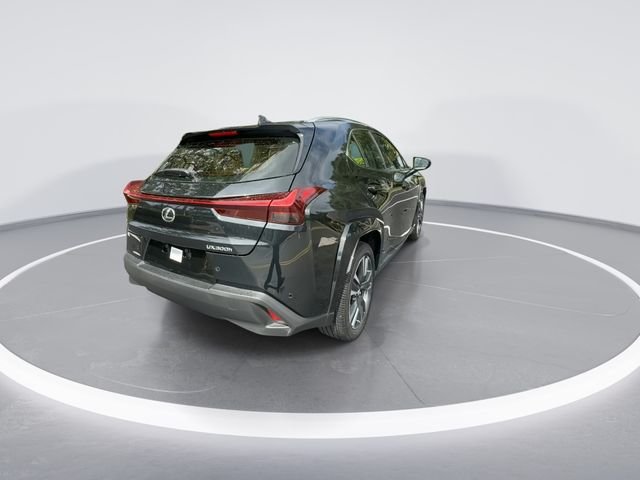 2025 Lexus UX Hybrid 300h Premium - Photo 7