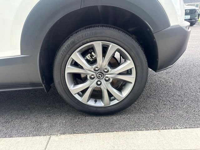 Photo 10