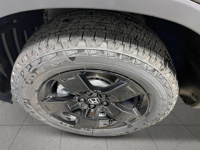 New 2026 Crystal Black Pearl Honda Black Edition image 10