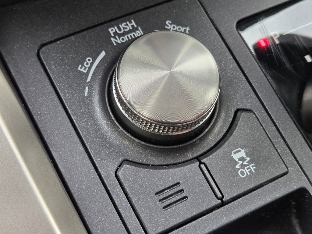 Used 2021 Gray Pearl Lexus 300 image 15