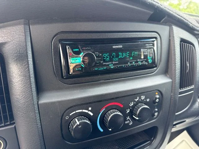 Used 2002 Gold Dodge SLT image 18