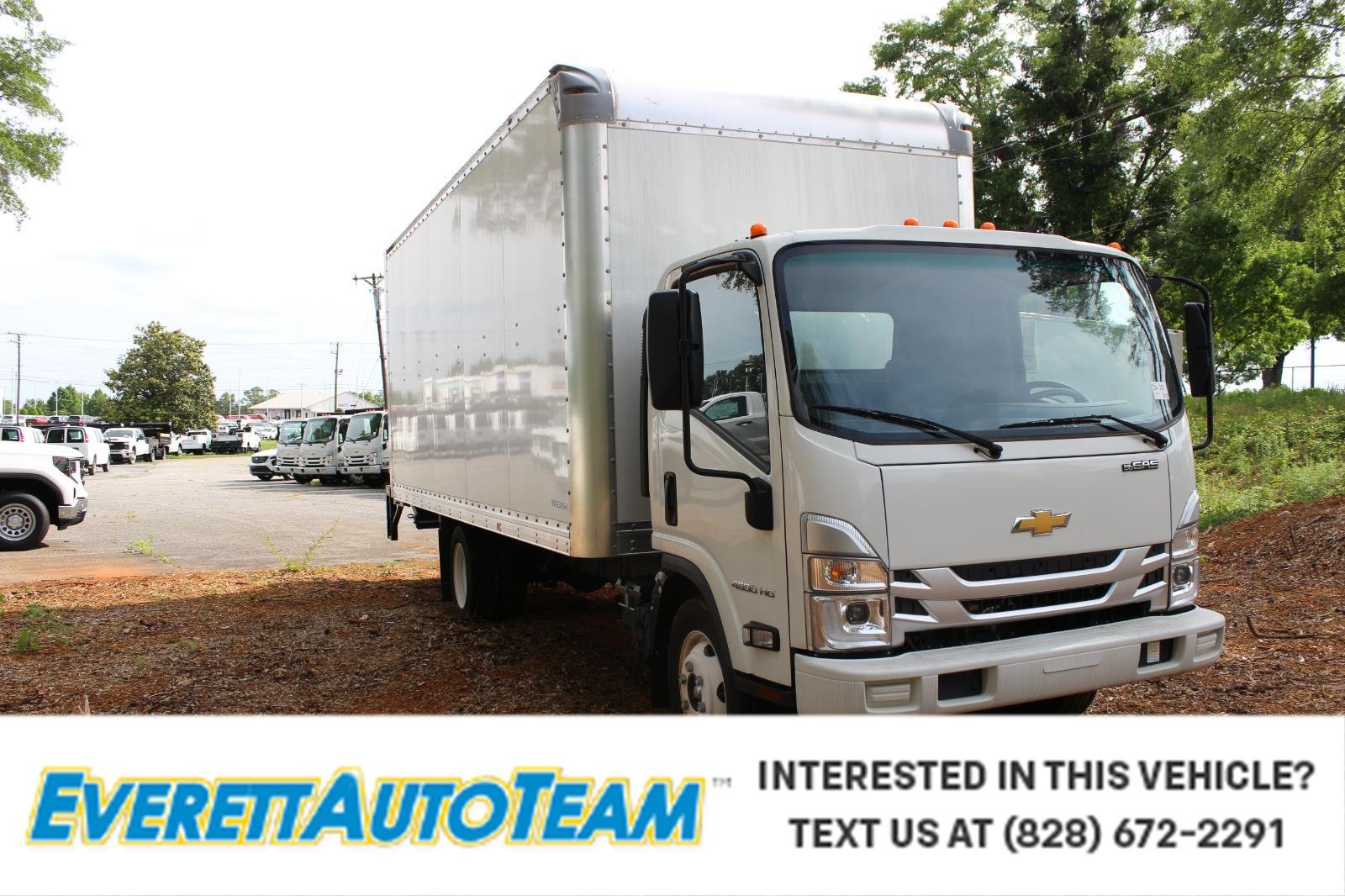 2024 Chevrolet Low Cab Forward 4500 Gas 176" WB Regular Cab's photo