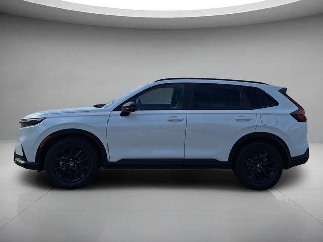 New 2026 Platinum White Pearl Honda Sport-L image 2