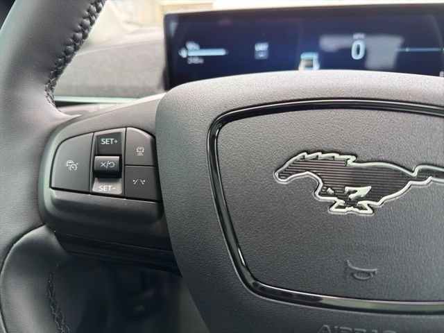 New 2026 Eruption Green Metallic Ford Premium image 25