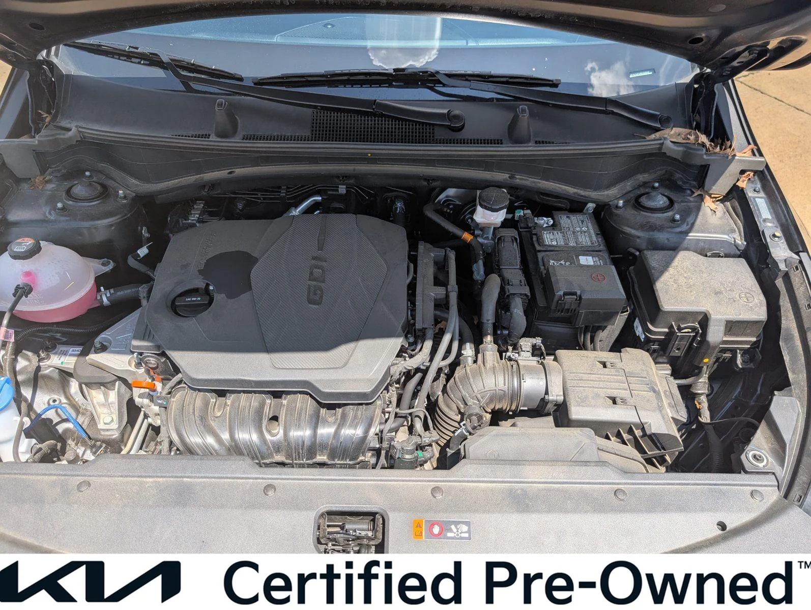 Used 2024 Ebony Black Kia X-Pro image 34