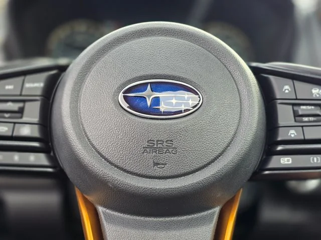 New 2026 RIVER ROCK PEARL Subaru Wilderness image 23