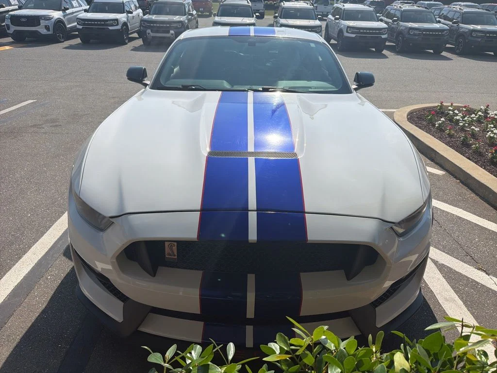 Used 2016 White Ford Shelby GT350 image 2