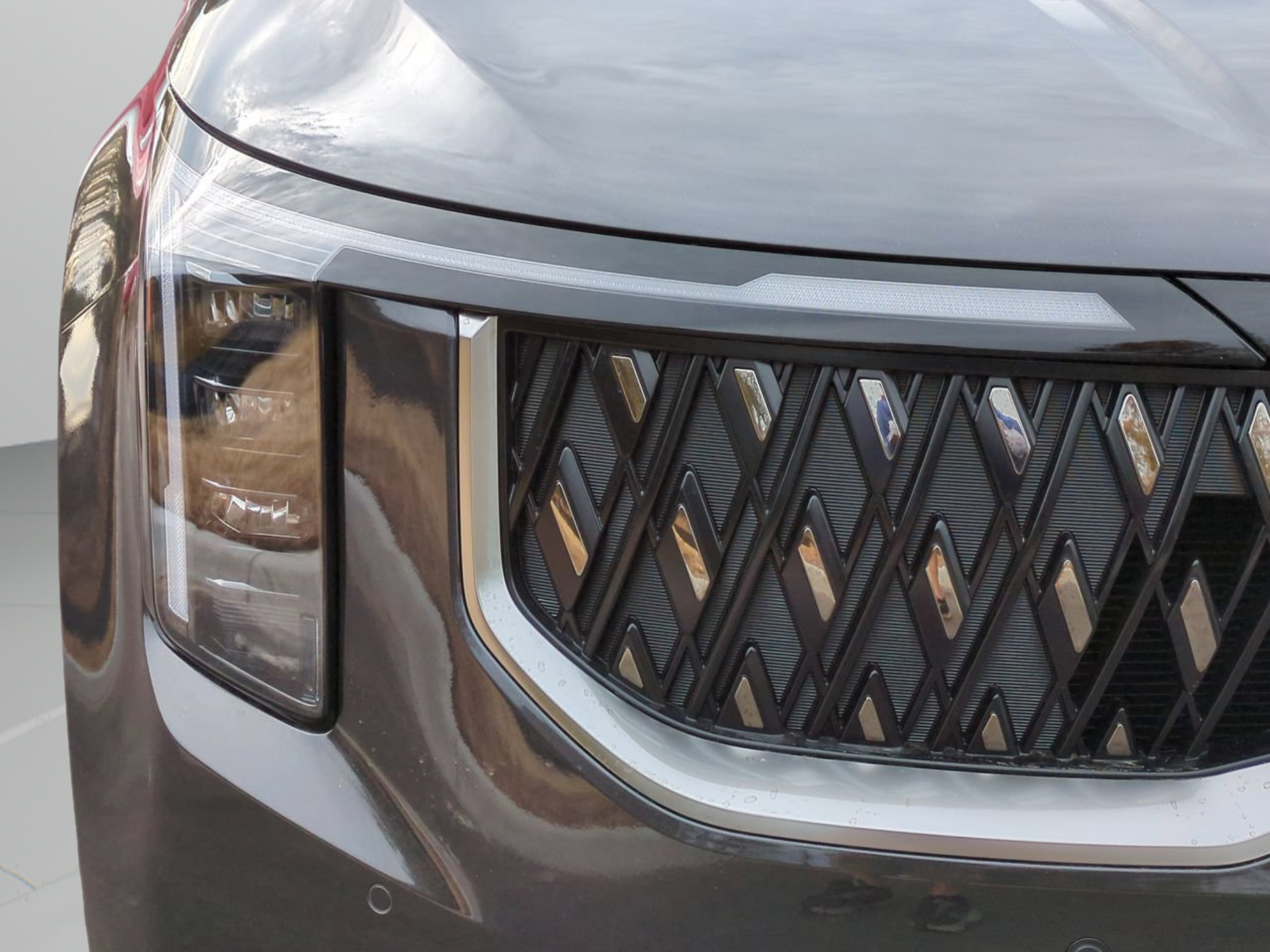 New 2026 Panthera Metal Kia EX image 32