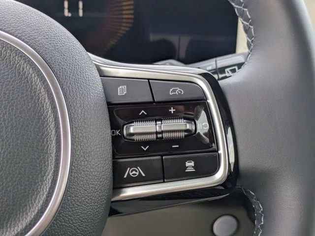 New 2026 Panthera Metal Kia EX image 27