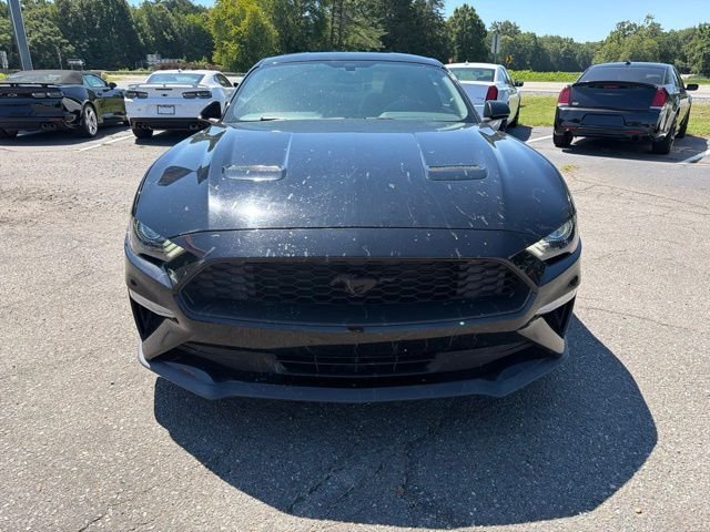 Used 2019 Ford Mustang EcoBoost with VIN 1FA6P8TH0K5194966 for sale in Madison, NC
