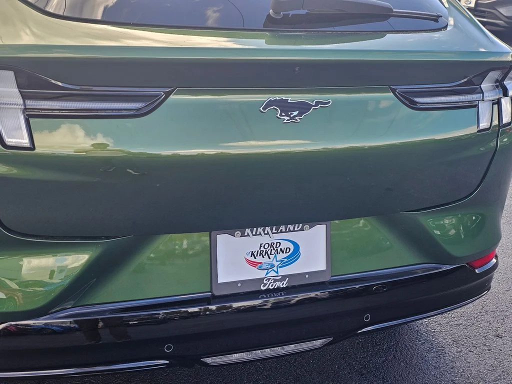 New 2025 Eruption Green Metallic Ford Premium image 14