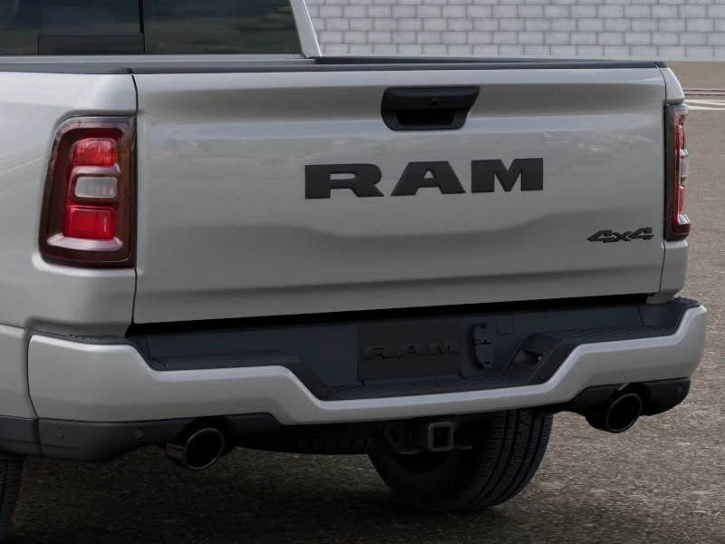 New 2026 Silver Zynith Exterior Paint RAM Express image 15