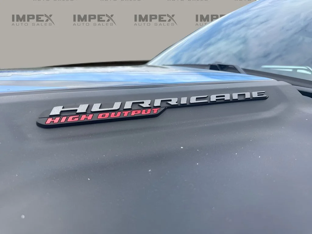 Used 2025 Black Ram RHO image 31