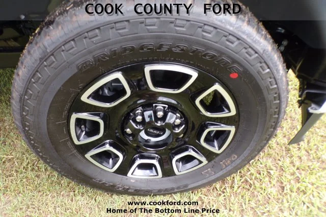 2025 Ford F-350 Super Duty Platinum - Photo 9