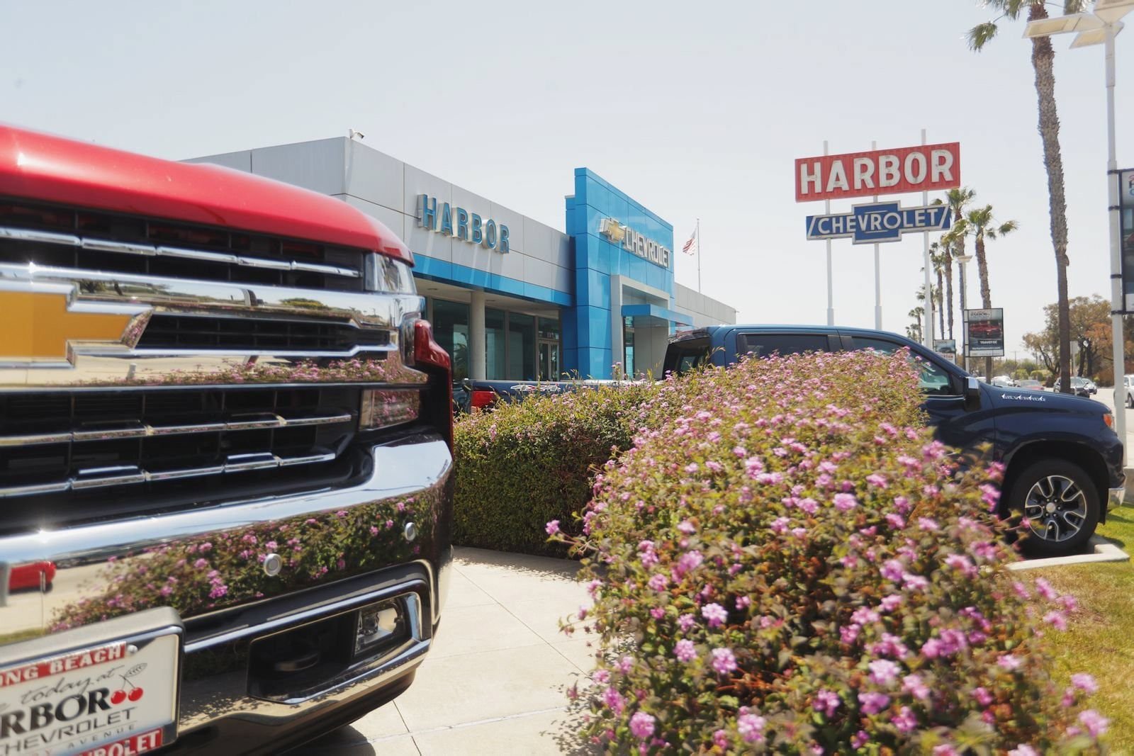 Used 2024 Glacier Blue Metallic Chevrolet Custom Trail Boss image 19