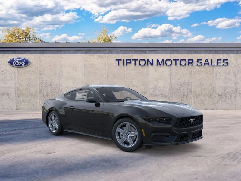 New 2026 Shadow Black Ford EcoBoost® Fastback image 7