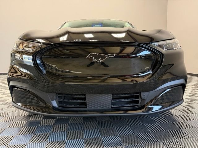 Certified Used 2026 Shadow Black Ford Premium image 3
