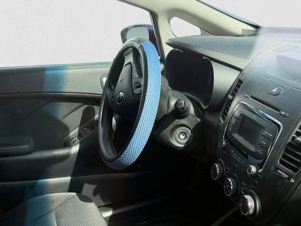 Used 2017 Blue Kia LX image 8
