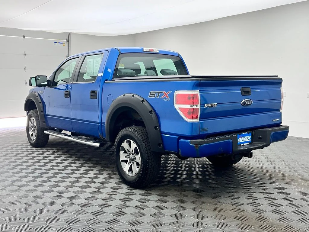 Used 2014 Blue Ford STX image 10