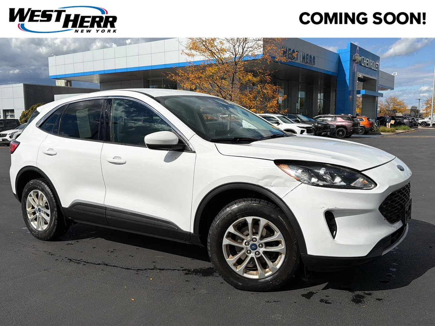 Used 2021 Oxford White Ford SE image 1