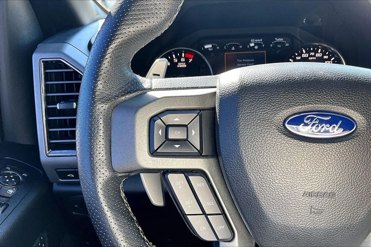 Used 2019 White Ford Raptor image 12