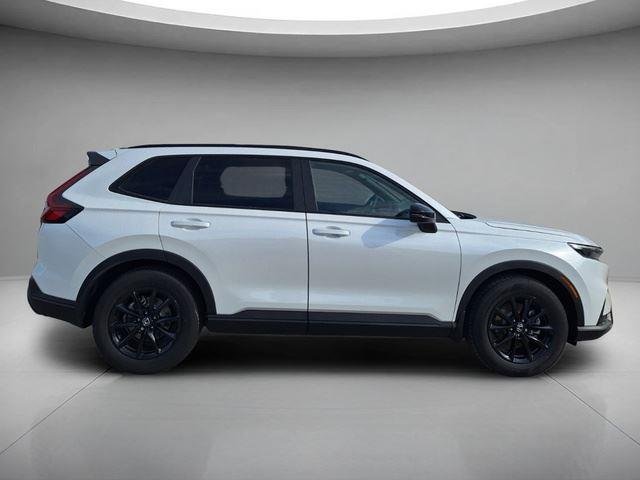 New 2026 Platinum White Pearl Honda Sport-L image 6