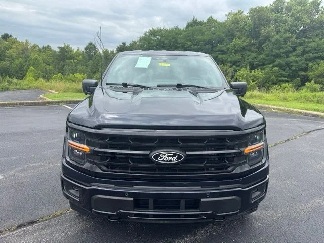Used 2024 Blue Metallic Ford XLT image 8