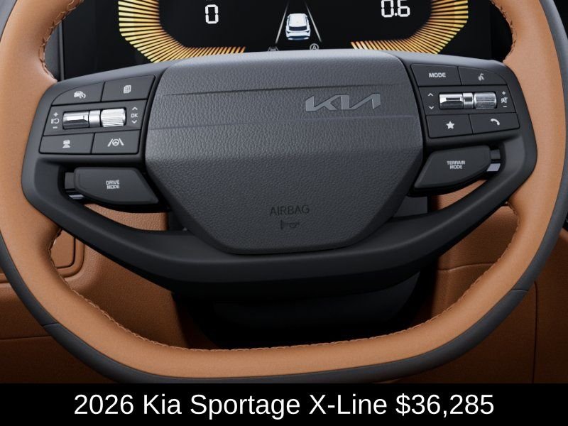 New 2026 Panthera Metal Gray Kia X-Line image 22