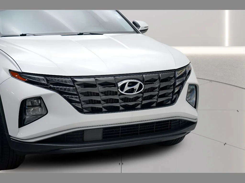 Used 2023 Serenity White Pearl Hyundai SEL image 21