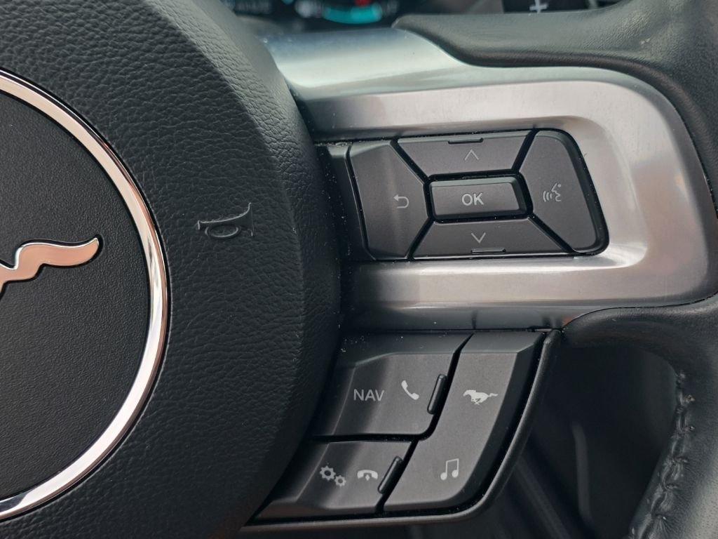 Used 2019 Red Ford EcoBoost Premium image 18