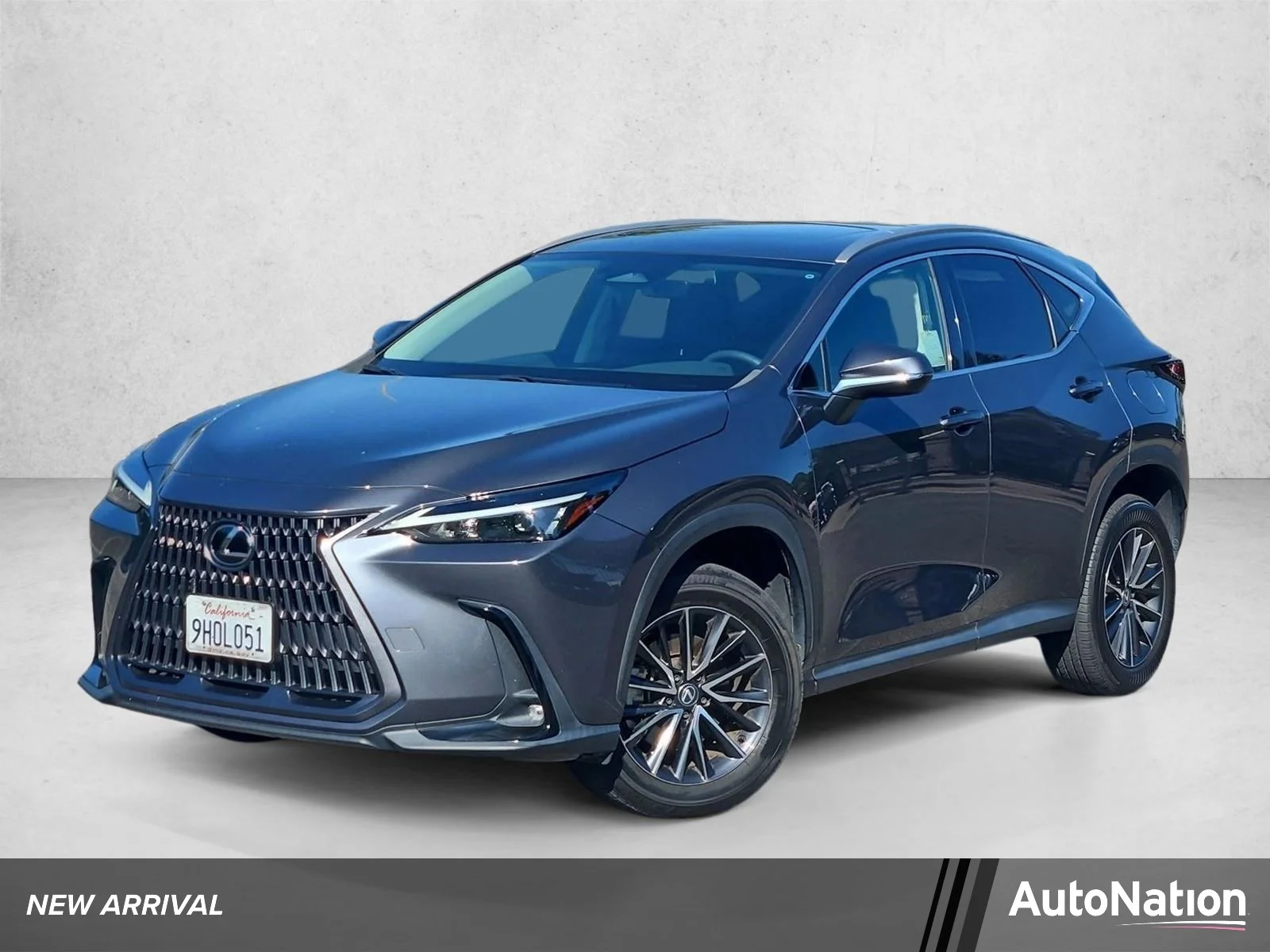 2024 Lexus NX