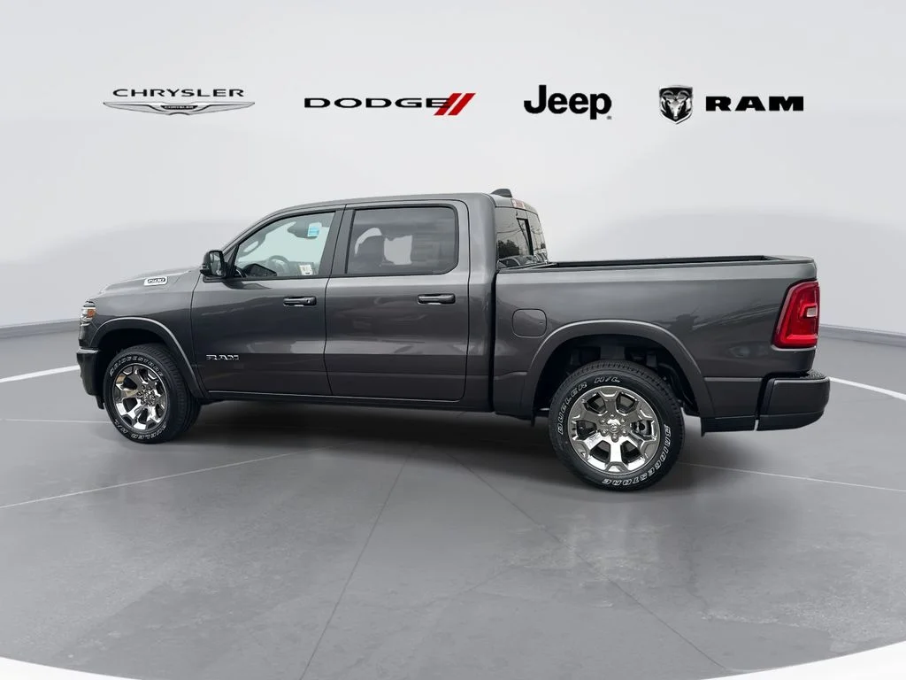 New 2026 Gray Ram Big Horn/Lone Star image 4