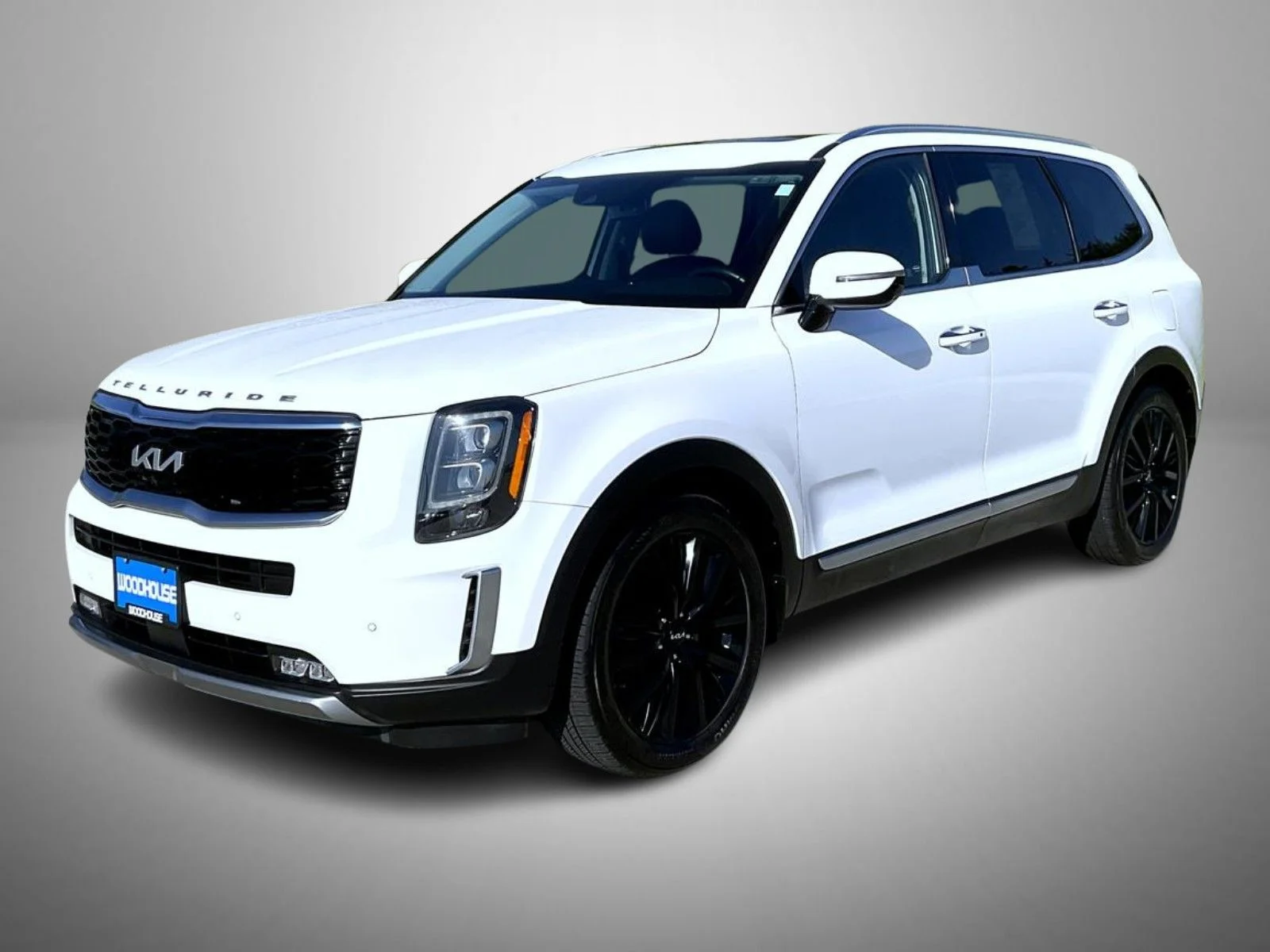 2022 Kia Telluride