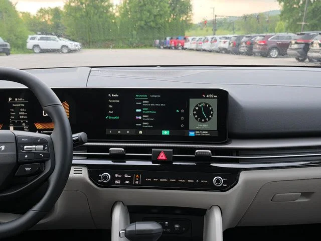 New 2026 Panthera Metal Gray Kia EX image 20