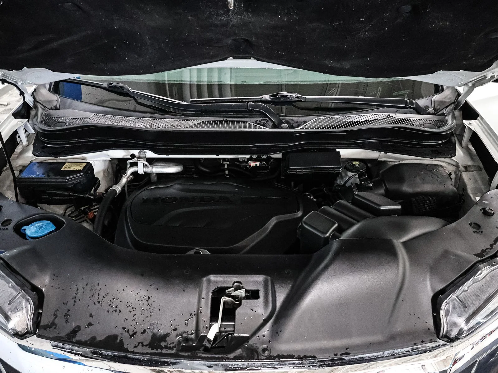 Used 2016 White Diamond Pearl Honda EX-L image 16