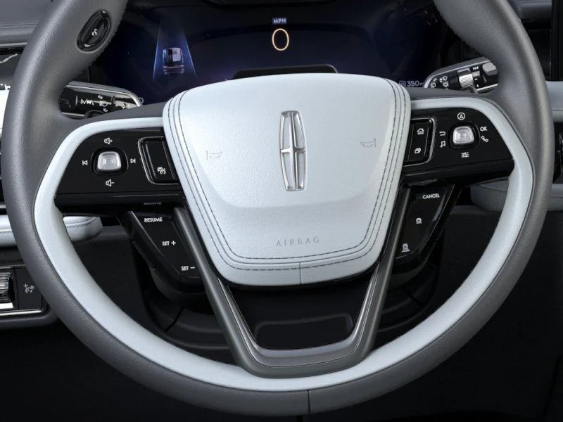 New 2026 Blue Lincoln Black Label image 13