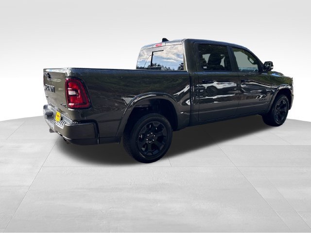 New 2027 Tank Exterior Paint RAM Big Horn/Lone Star image 7