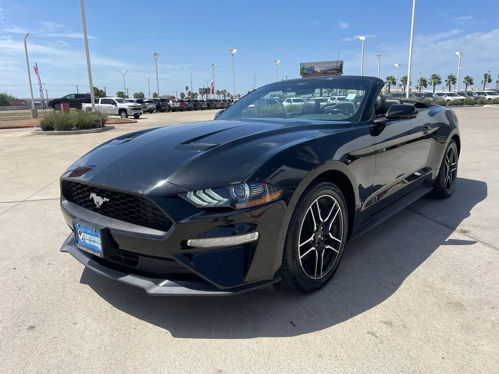 Used 2023 Black Ford EcoBoost Premium image 5