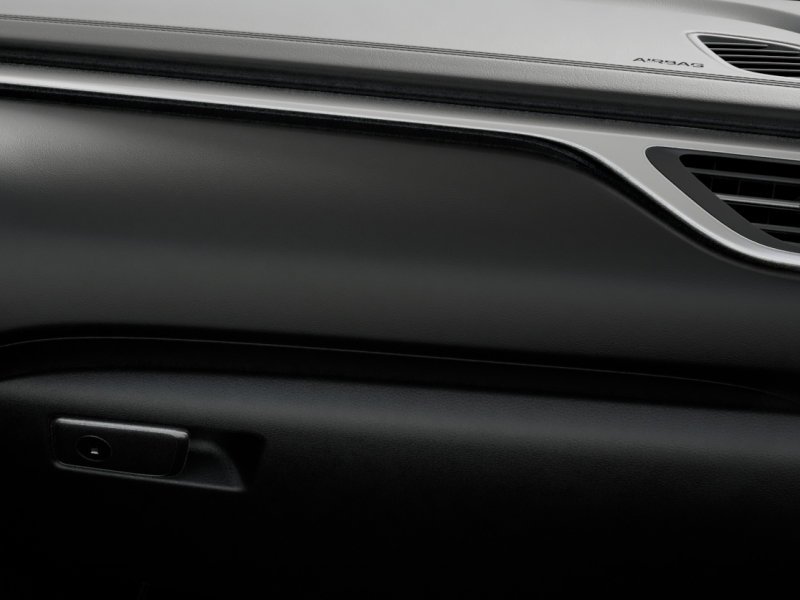New 2027 Vik Black Genesis Standard image 25
