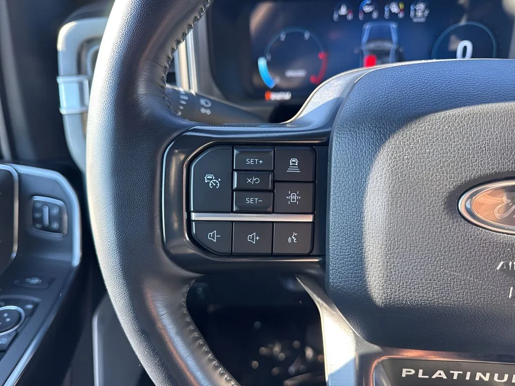 Used 2025 Black Ford Platinum image 17