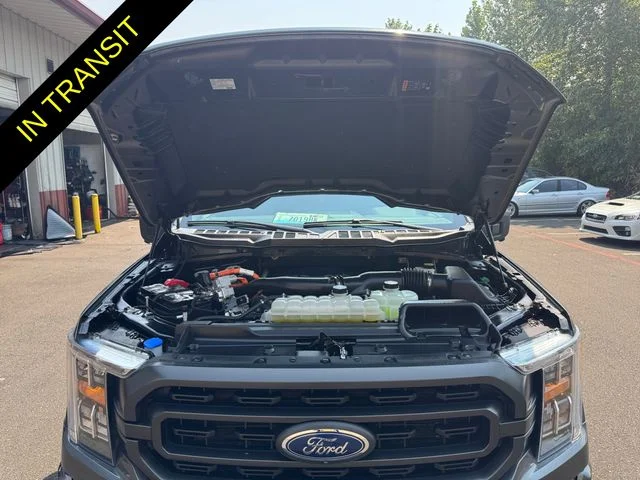 Used 2023  Ford XLT image 19