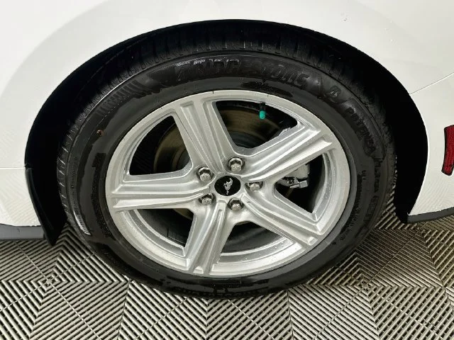 New 2026 White Ford EcoBoost image 18
