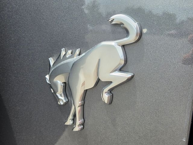 Used 2024 Gray Ford Badlands image 18