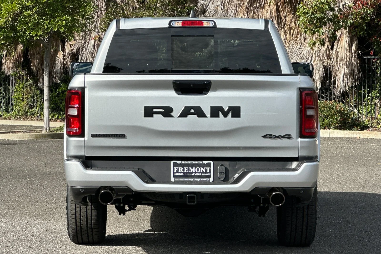 New 2026 Silver Zynith Exterior Paint RAM Big Horn/Lone Star image 4
